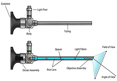 Classification and application of endoscope